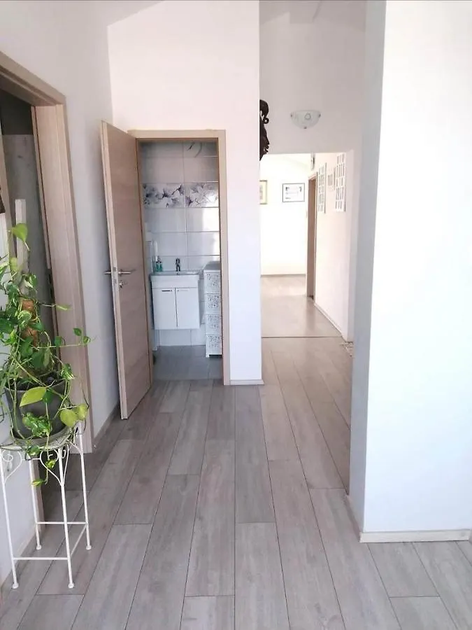 Apartments Mile Zadar Croatia
